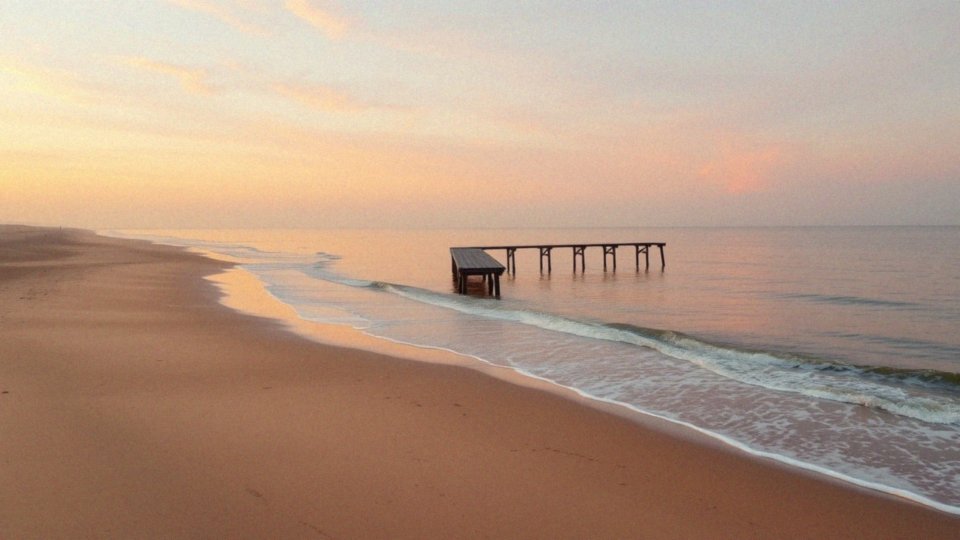 Co motywuje Wiktora Biernackiego do udziału w programie?