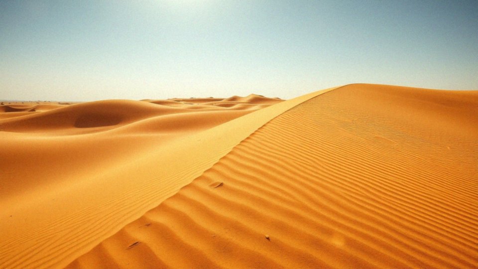 Co chodzi za pustynią Liwa w „Diunie”?