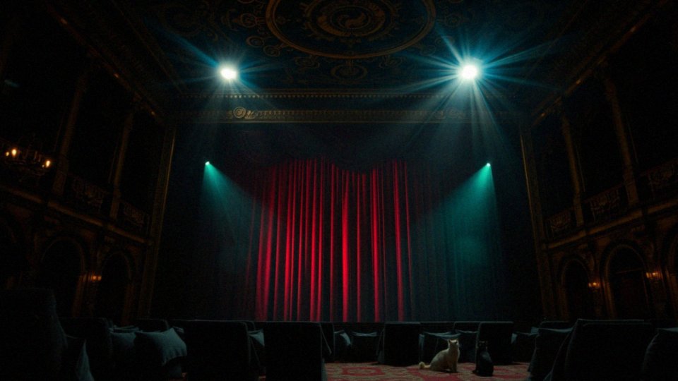 Co to jest bal Jellicle Cats?