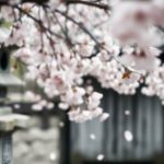 Ahegao – co to jest i jakie ma znaczenie w kulturze erotycznej?