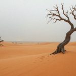 Bóg Imperator Diuny – Kim jest i jakie są jego władze?