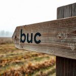 Buc – definicja, znaczenie i pejoratywne konotacje słowa