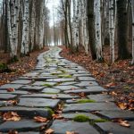 Człowiek w poszukiwaniu sensu – cytaty i ich znaczenie w życiu