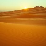 Diuna: Część druga – wszystko, co musisz wiedzieć o filmie