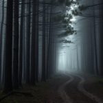 Filmy na podstawie Cobena – najciekawsze ekranizacje na Netflix