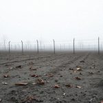 Filmy o Auschwitz na Netflix – które warto obejrzeć?