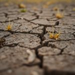 Gówno – definicja, znaczenie i konteksty w języku polskim