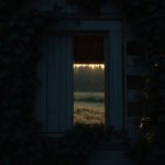 Horrory oparte na faktach – dlaczego przyciągają widzów?