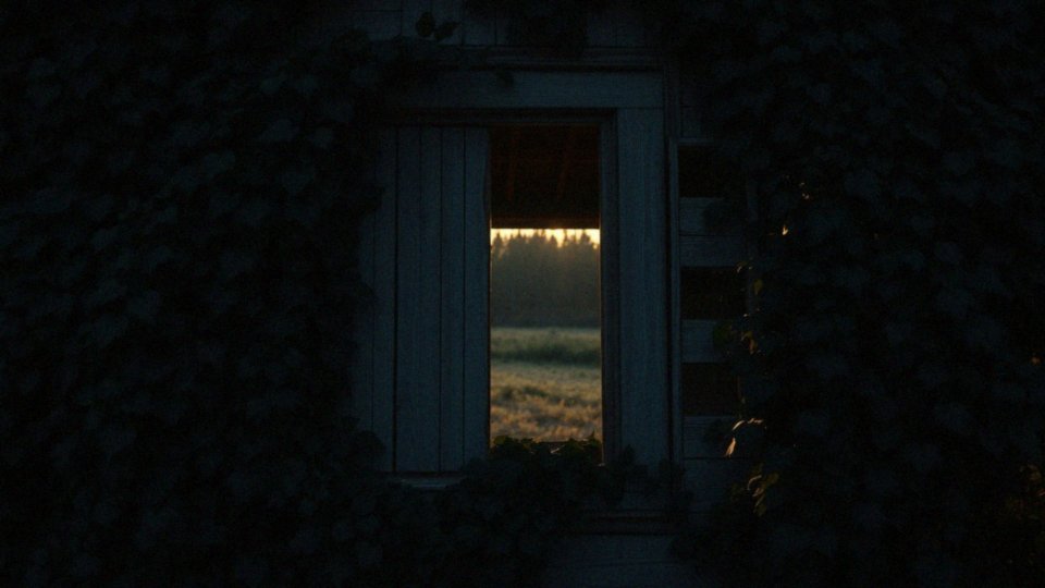 Horrory oparte na faktach – dlaczego przyciągają widzów?