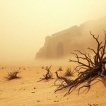 Mesjasz Diuny – analiza fabuły i kluczowych wątków w książce