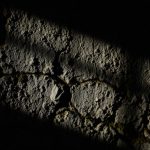 Pizda – definicja, znaczenie i kontekst użycia