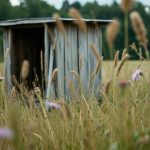 Sraka – znaczenie, gramatyka i zastosowanie w języku polskim