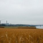 WWA – co to są wielopierścieniowe węglowodory aromatyczne?