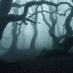 Zmierzch bohaterowie – kluczowe postacie serii i ich historie