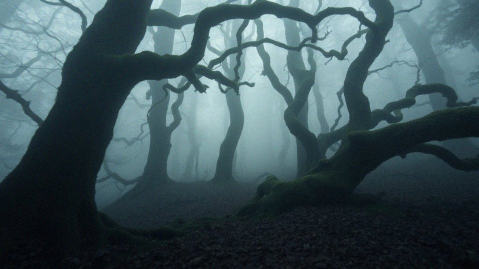 Zmierzch bohaterowie – kluczowe postacie serii i ich historie